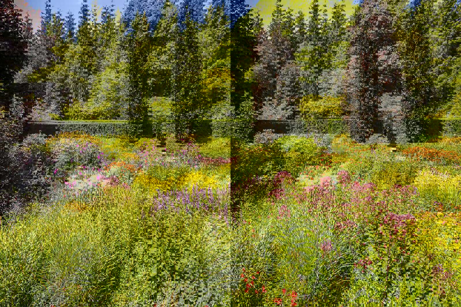 RHS Garden Rosemoor