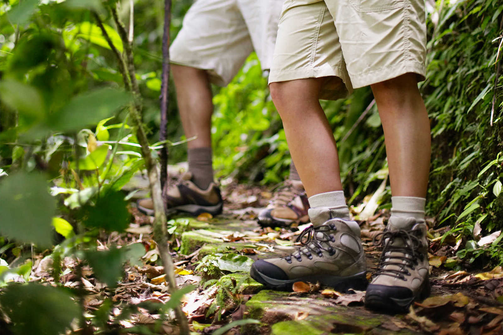 Trekking