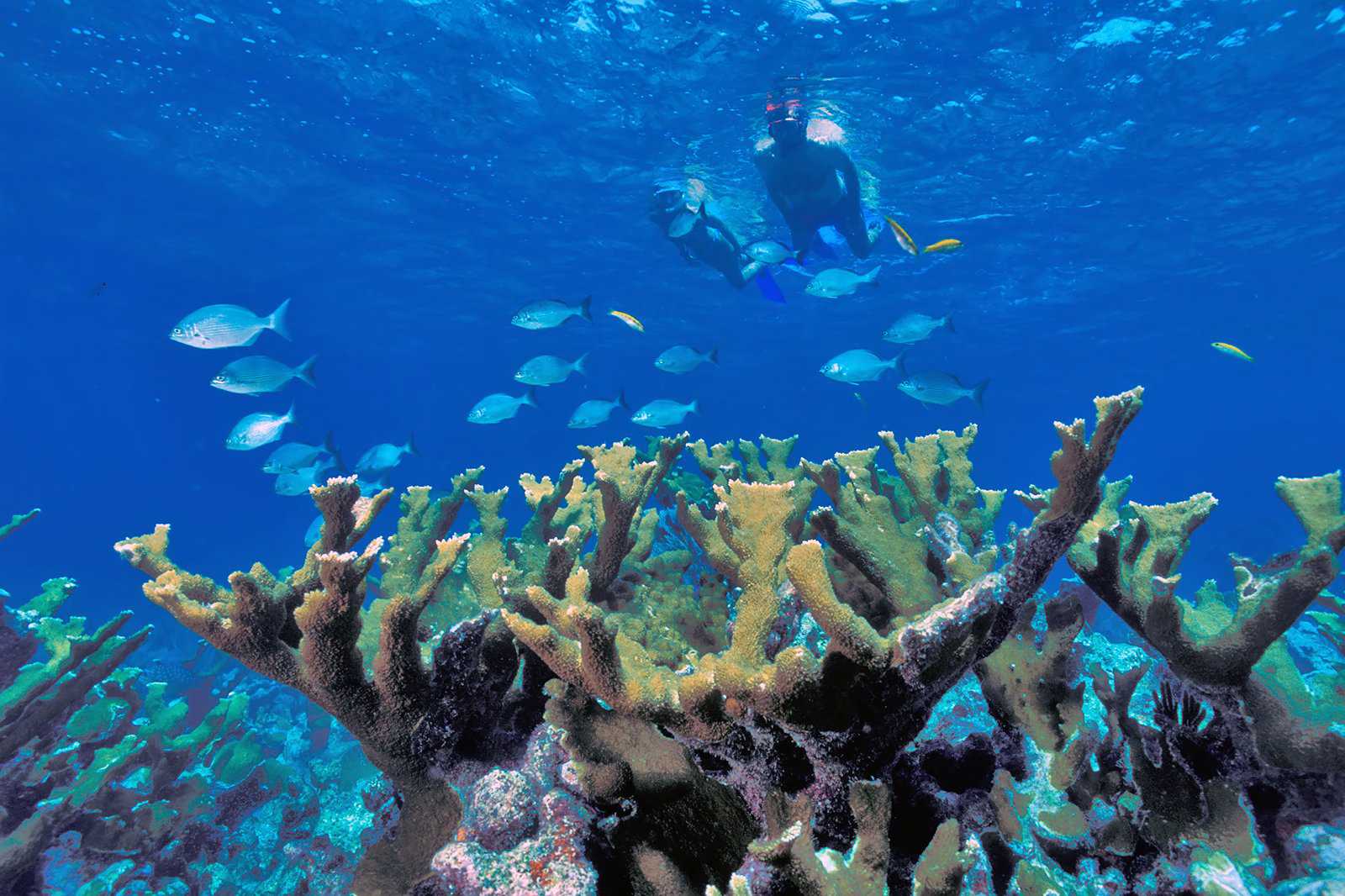 Biscayne National Park