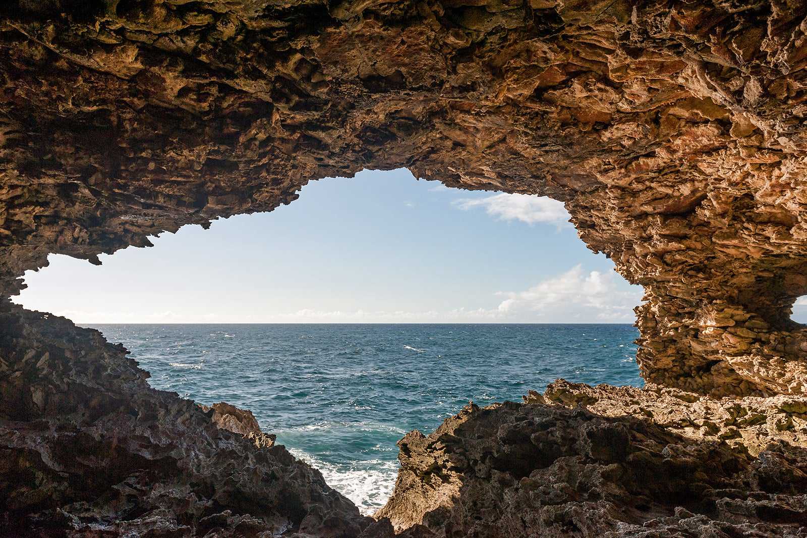 Animal Flower Cave