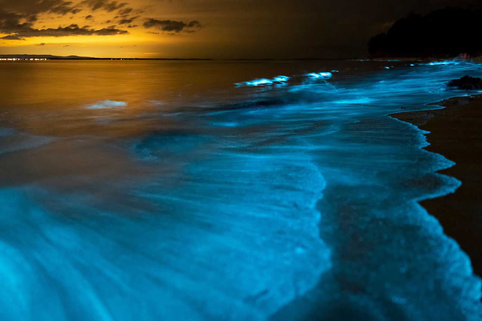 Bioluminescence Kayak Tour