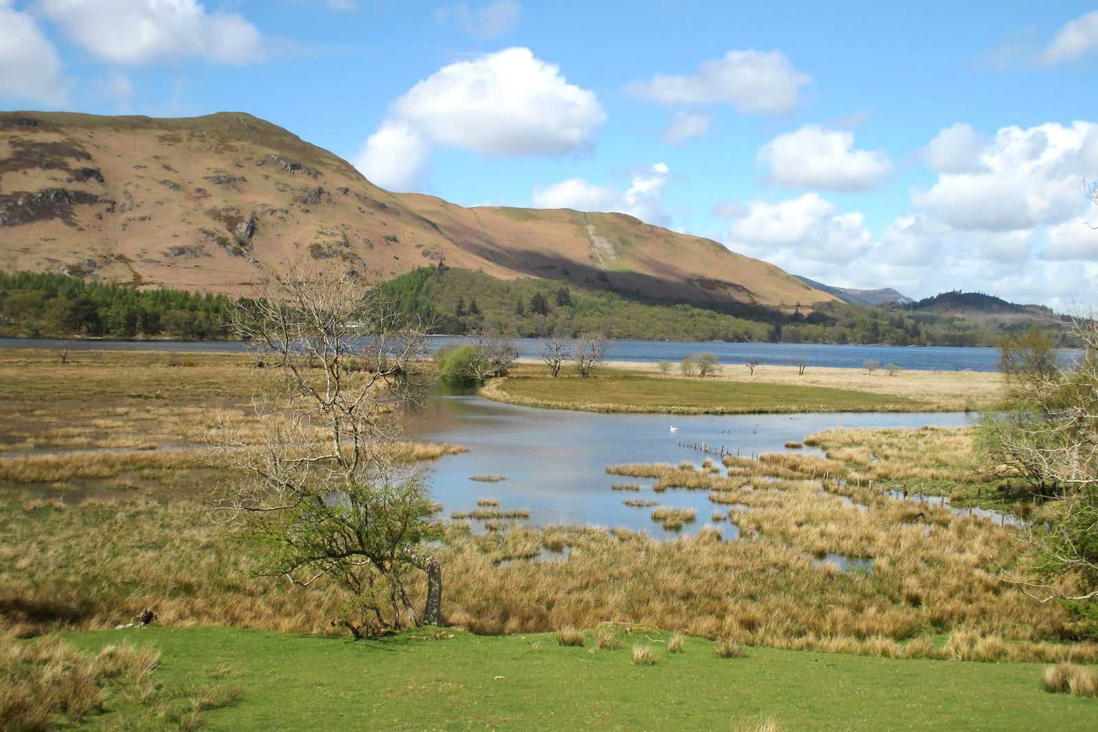 Catbells