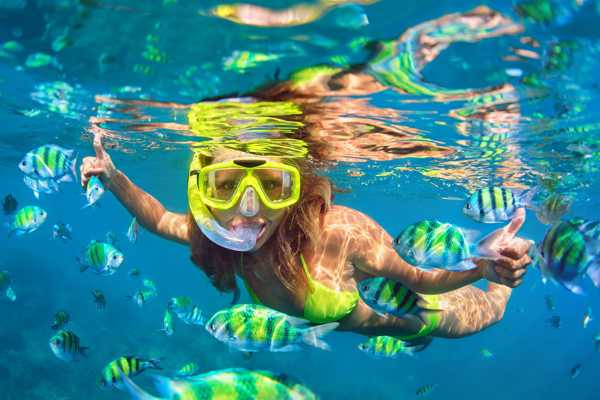 10 Best Snorkelling Spots in Phi Phi