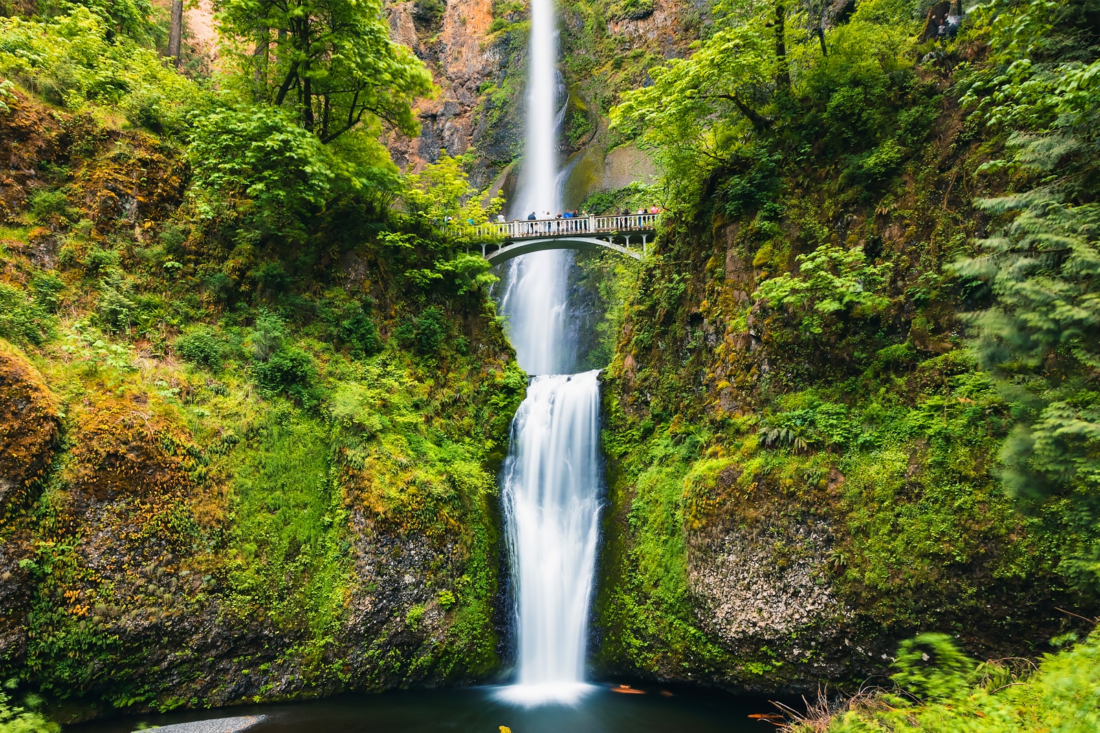 Portland Oregon Zip Code Map Where To Find The Best Hiking Trails - zxriczk