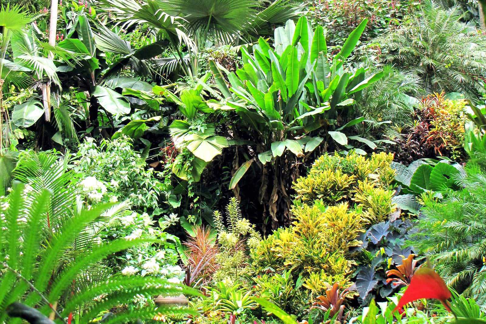 Hunte’s Gardens