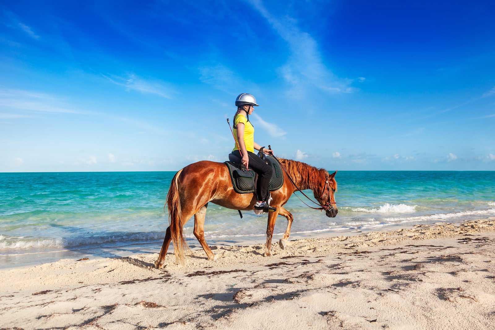 Horseback riding