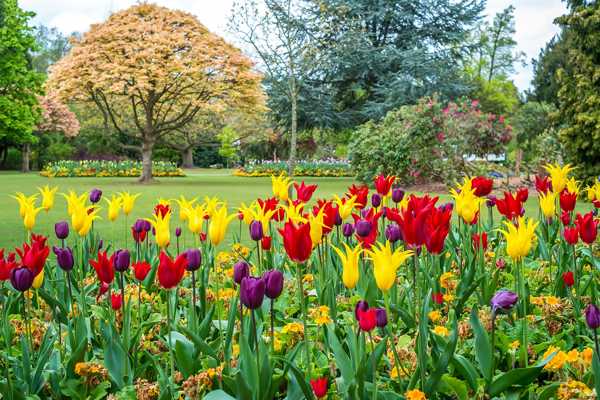 Cannon Hill Park in Birmingham