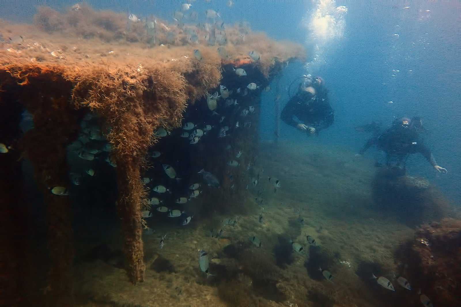 HMS Maori