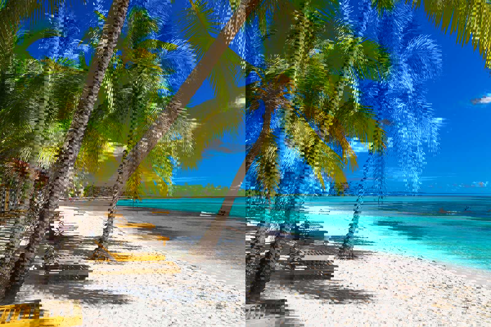 Punta Cana