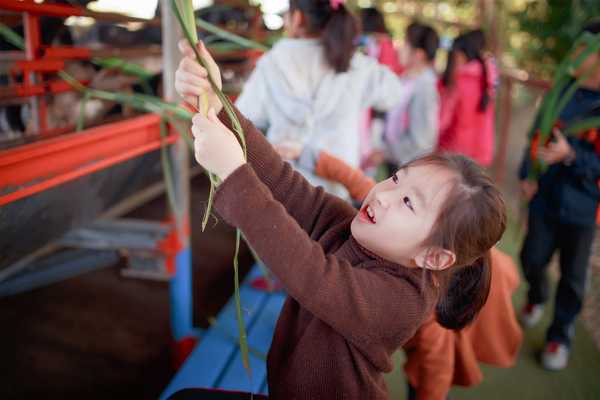10 Best Family Things to Do in Kaohsiung