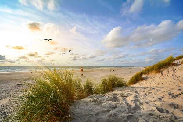 6 Best Beaches in Copenhagen