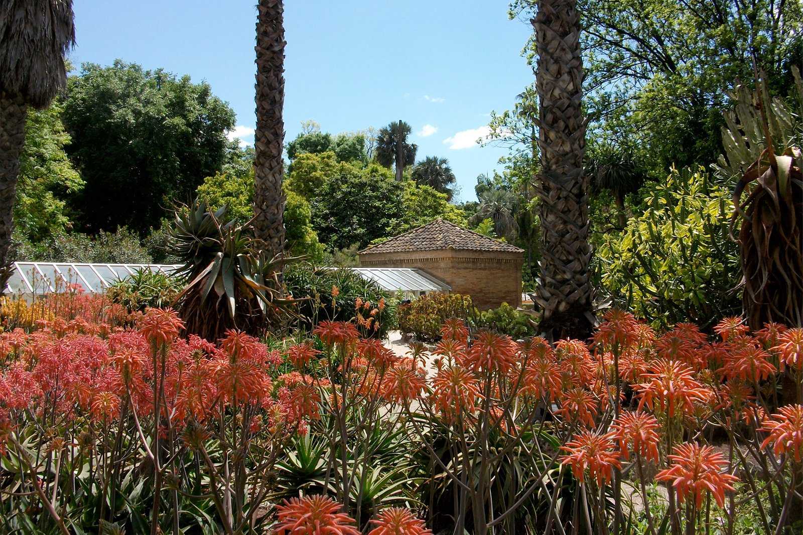 Botanical gardens in bloom