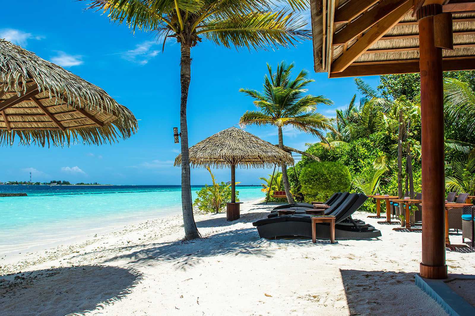 12 Best Beach Clubs and Bars in The Bahamas
