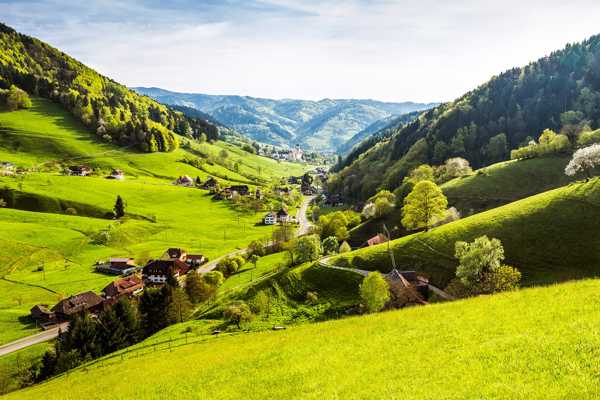 11 Best Things to Do in The Black Forest