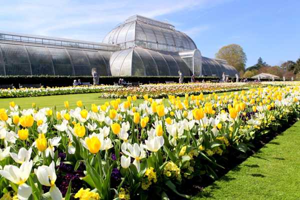 Kew Gardens in London