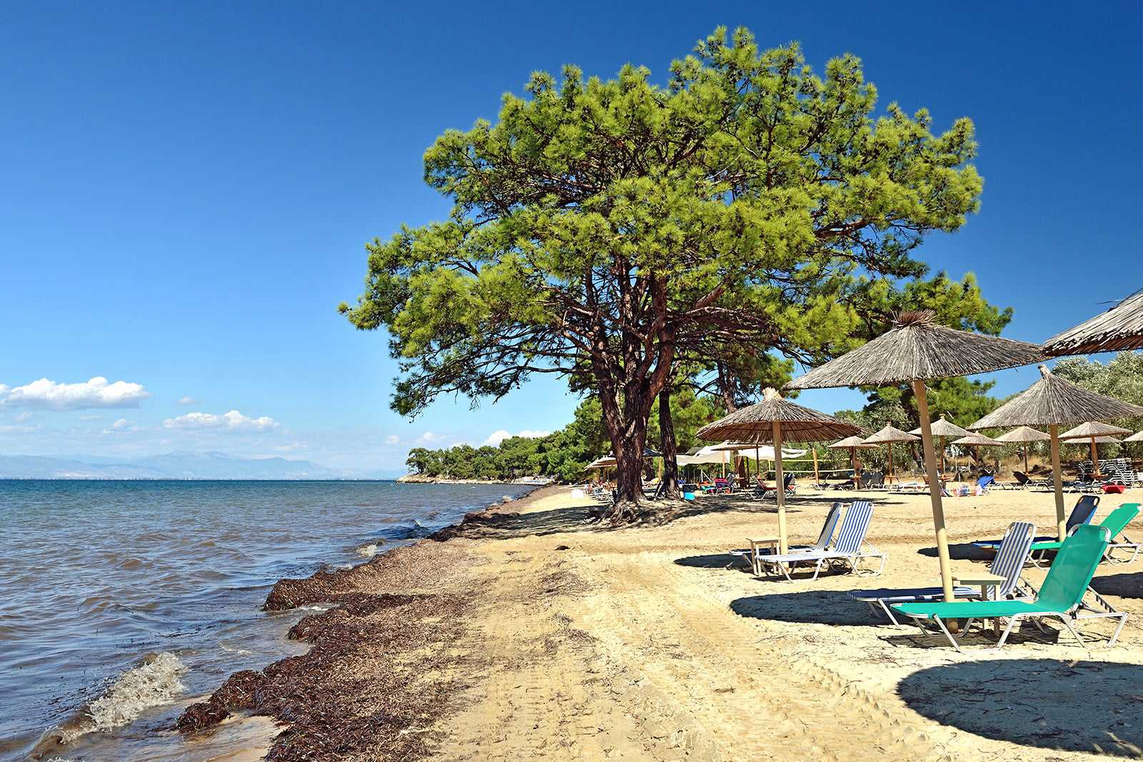 Pachis Beach