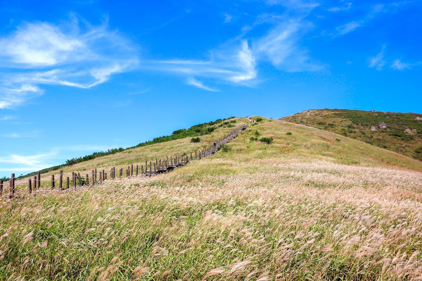 10 Best Natural Wonders in Ulsan - Go Guides