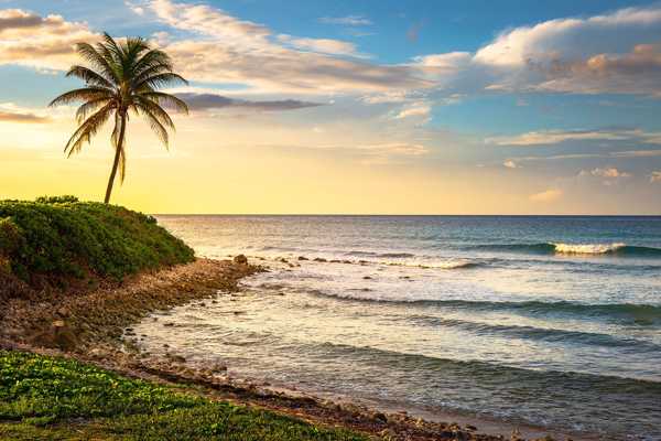 10 Best Things to Do in Montego Bay