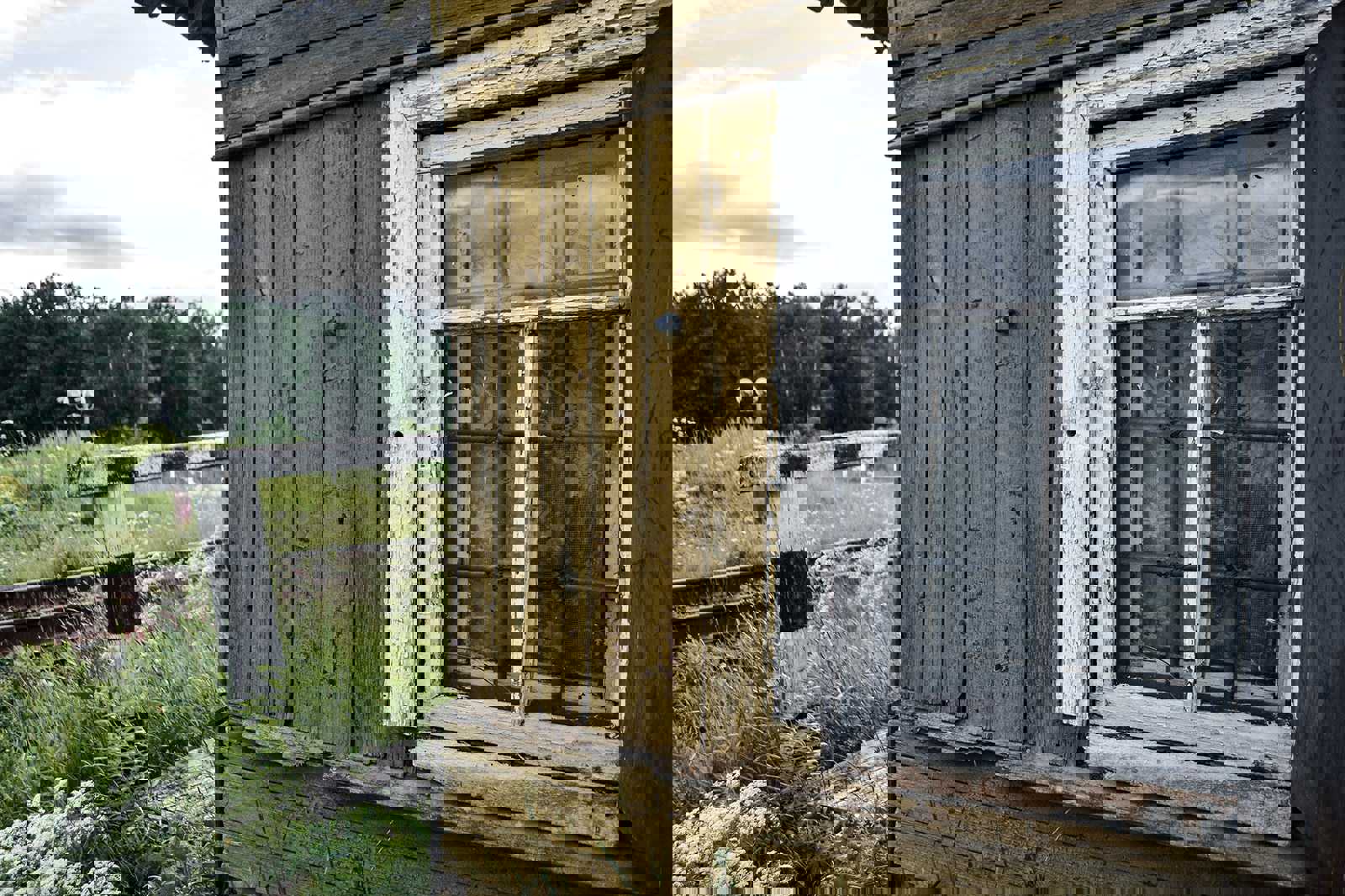 Ligonia Village