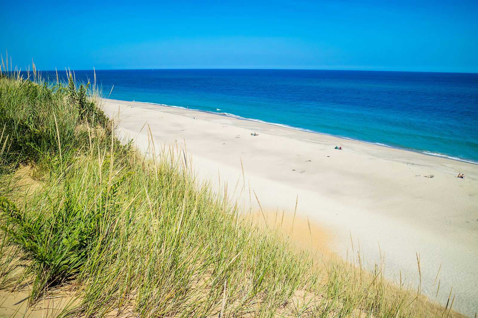 Cape Cod National Seashore