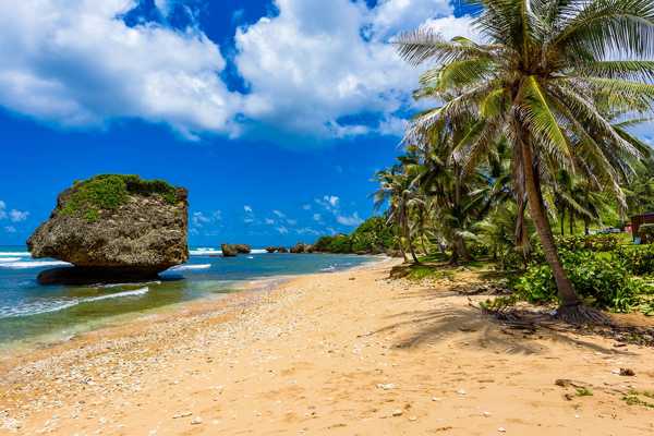 10 Most Instagrammable Places in Barbados