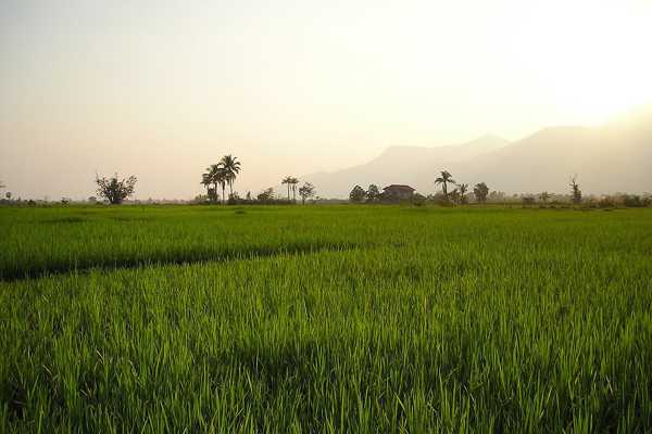 The Living Land Company