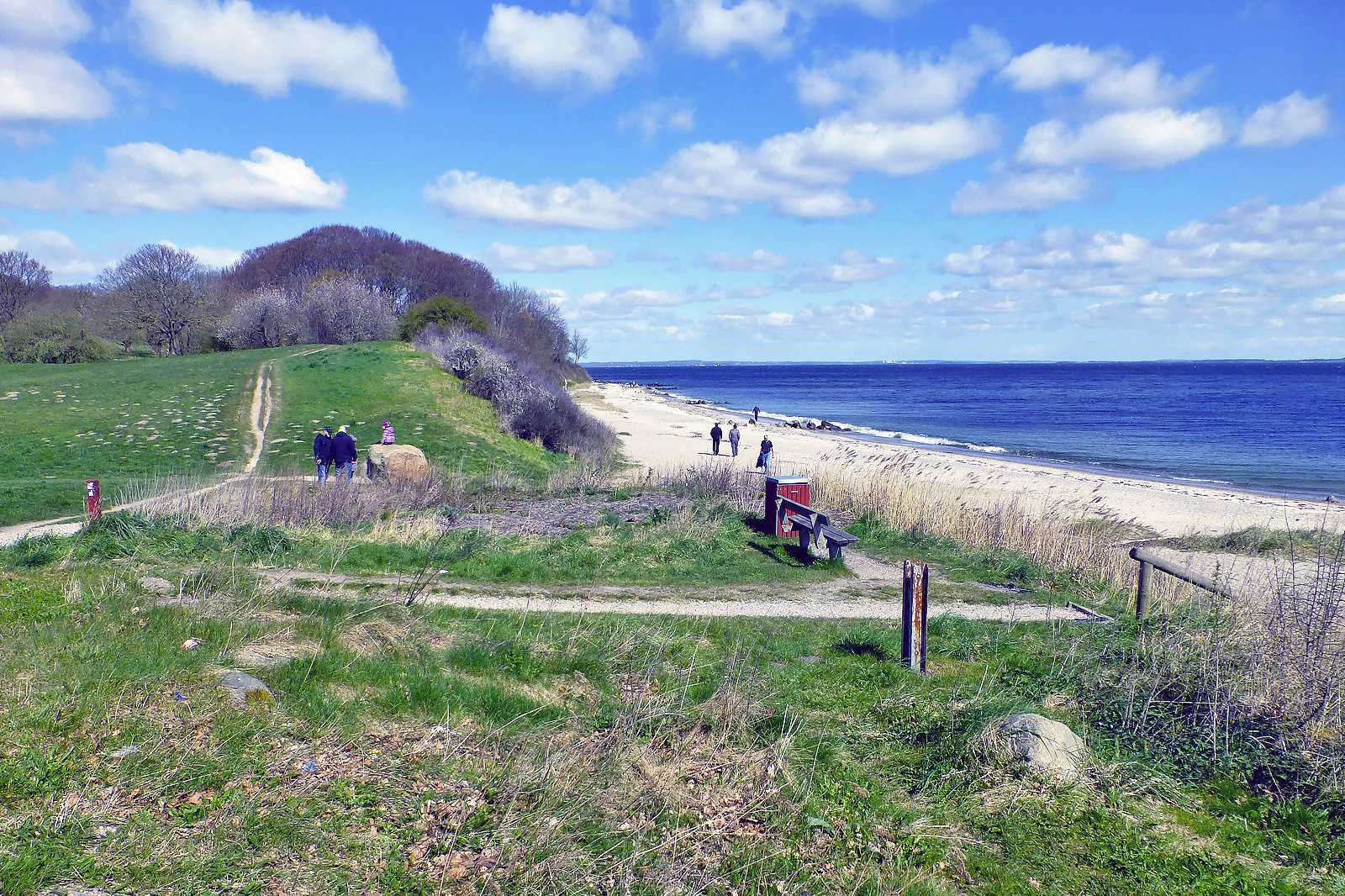 A day at Moesgård Strand