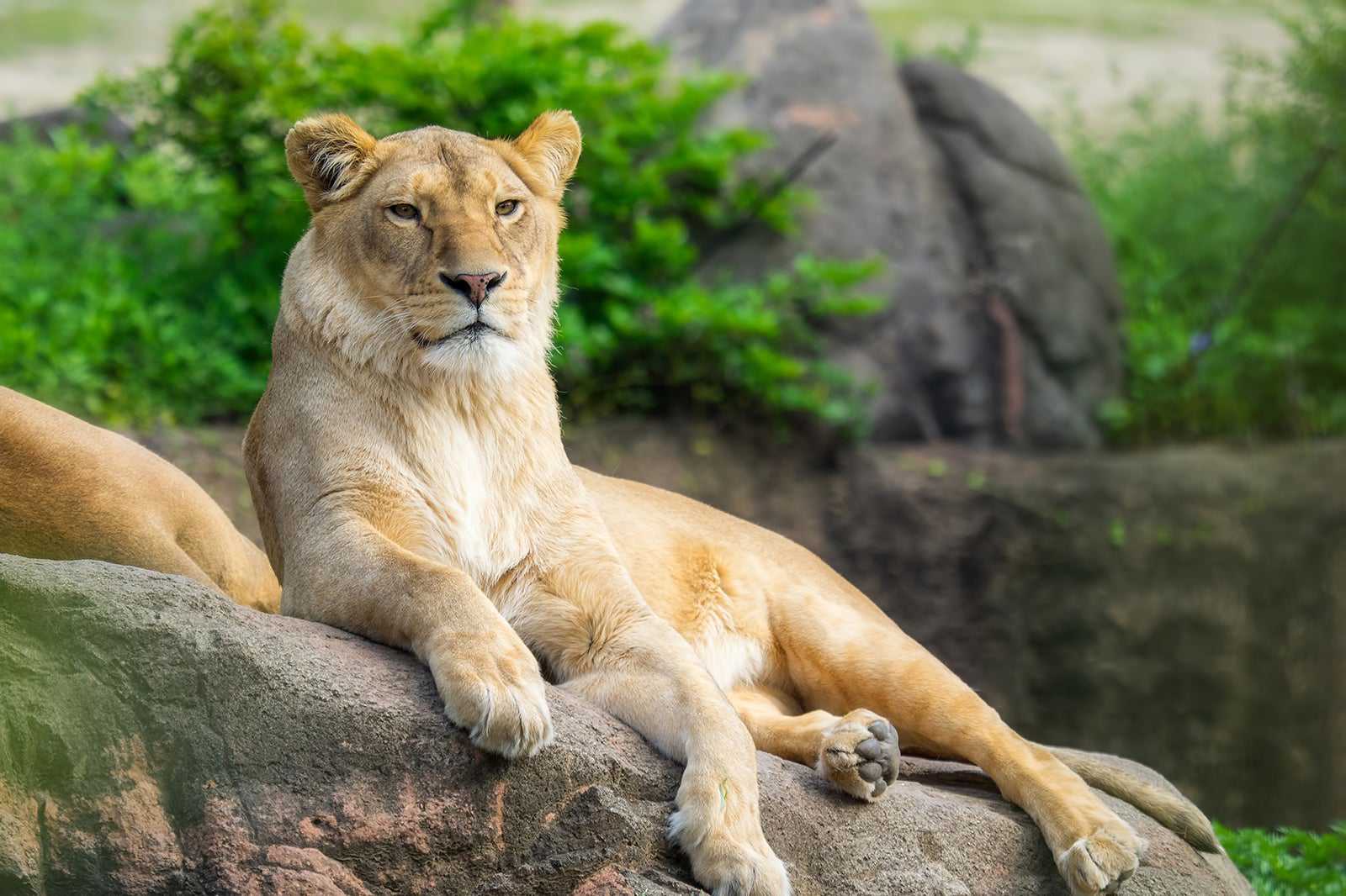 Zoo de la Flèche