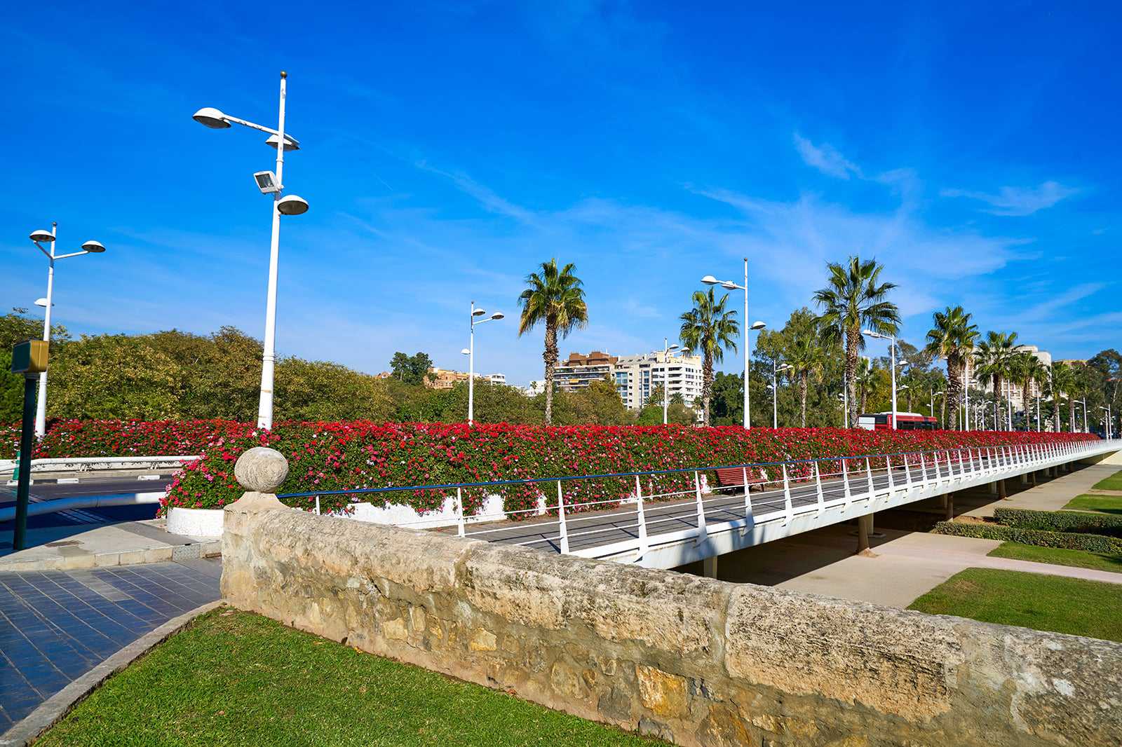 Take a tour of the city's bridges