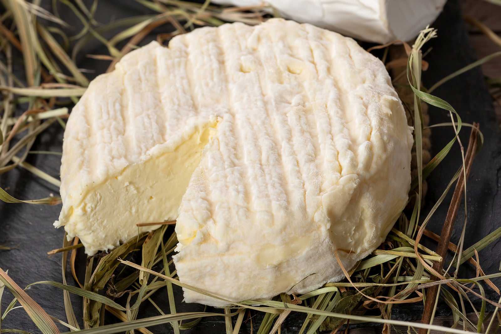 Saint-Marcellin cheese