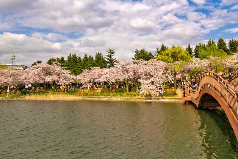 10 Best Things to Do for Couples in Gyeongju