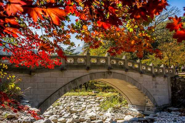 5 Best Things to Do for Couples in Sokcho